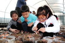 [충청신문-충남도교육청 학교문화만들기 공동캠페인] 예산신양초등학교 < 오피니언 < 기사본문 - 충청신문 [충청신문-충남도교육청... 