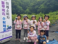 계룡시품목농업인연구협, 어린이 대상 블루베리 수확체험 < 계룡 < 충남 < 기사본문 - 충청신문 계룡시품목농업인연구협, 어린이 대상 블루베리... 