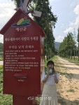 예산군, 메타세콰이어길 사랑의 우체통 엽서 발송이벤트 < 예산 < 당진·청양·홍성·예산 < 충남 < 기사본문 - 충청신문 예산군, 메타세콰이어길... 