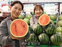 [포토] 롯데마트 노은점, 올해 첫수박 맛보세요 < 포토뉴스 < 기사본문 - 충청신문 [포토] 롯데마트 노은점, 올해 첫수박 맛보세요