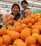 [포토] 롯데마트 노은점, 고당도 오렌지 한 봉 가득 담아가세요 < 포토뉴스 < 기사본문 - 충청신문 [포토] 롯데마트 노은점, 고당도 오렌지 한 봉... 