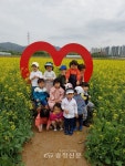 제천 의림지 뜰 유채꽃밭 인기 절정… 어린이집 체험장으로도 주목 < 제천 < 충북 < 기사본문 - 충청신문 제천 의림지 뜰 유채꽃밭 인기 절정... 
