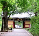공주 계룡산 갑사 오리 숲길, 국립공원 탐방명소 7선에 ‘선정’ < 공주 < 충남 < 기사본문 - 충청신문 공주 계룡산 갑사 오리 숲길, 국립공원... 