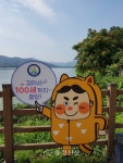네이버 검색 결과 사진 6