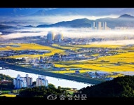충주시, 아름다운 충주관광 전국사진 공모전 ‘도시의 아침’ 금상 < 충주 < 충주·제천·단양 < 충북 < 기사본문 - 충청신문 충주시, 아름다운... 