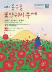 원주용수골꽃양귀비축제·오크밸리 3D 라이팅쇼까지 < 충청신문... 강원 가볼만한 곳... 원주용수골꽃양귀비축제·오크밸리 3D 라이팅쇼까지