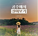 공주시 “공주에서 살아보실래요” < 공주 < 천안·공주·아산 < 충남 < 기사본문 - 충청신문 공주시 “공주에서 살아보실래요”