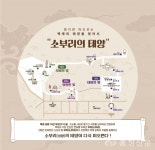 부여군, 미디어아트로 다시 태어나는 백제의 영원한 부흥 < 부여 < 논산·계룡·금산·부여 < 충남 < 기사본문 - 충청신문 부여군, 미디어아트로 다시... 