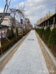 금산군, 어린이보호구역 자녀안심그린숲 조성 < 금산 < 충남 < 기사본문 - 충청신문 금산군, 어린이보호구역 자녀안심그린숲 조성