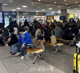 [포토] “내 버스는 언제오나~” < 사진·영상으로 본 세상 < 포토뉴스 < 기사본문 - 충청신문 [포토] “내 버스는 언제오나~”