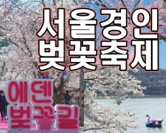 [충청신문 주말여행] 서울·경기·인천, 벚꽃 명소 가볼만한 곳은? 남산타워, 에덴벚꽃길 벚꽃축제, 장봉도 벚꽃축제 < 주말여행 < 사회 < 뉴스... 