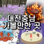 유성 재즈 맥주페스타, 한우숯불구이, 충남 서천 장항 맥문동 꽃 축제, 홍원항 자연산 전어 꽃게까지! < 충청신문 주말여행 < 기획특집 < 기사본문... 