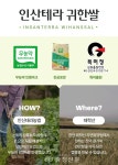 빵의 도시에 맞춘 ‘천안호두명과’ 수제강정 출시 < 천안 < 천안·공주·아산 < 충남 < 기사본문 - 충청신문 빵의 도시에 맞춘 ‘천안호두명과’... 