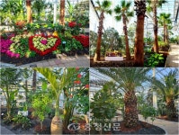 제천아열대스마트농장, 황토 맨발체험길 조성 < 제천 < 충북 < 기사본문 - 충청신문 제천아열대스마트농장, 황토 맨발체험길 조성