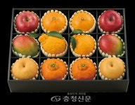정관장홍삼 갤러리아타임월드점 | 설 명절, 진심의 품격을 선물하다…갤러리아타임월드 설 선물 제안 < 뉴스 < 기사본문 - 충청신문 설 명절, 진심의 품격을 선물하다...