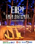 태안군, 반려동물 동반 태안 댕댕 힐링캠프 개최 < 서산·보령·서천·태안 < 충남 < 기사본문 - 충청신문 태안군, 반려동물 동반 태안 댕댕... 
