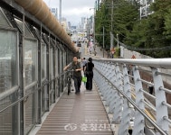 서대전육교 유도전류 우려에도…대전시 이상 無 < 사회 < 뉴스 < 기사본문 - 충청신문 서대전육교 유도전류 우려에도…대전시 이상 無