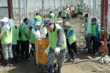 충청체신청, 진천 수해복구 자원봉사 나서 < 포토뉴스 < 기사본문 - 충청신문 충청체신청, 진천 수해복구 자원봉사 나서