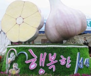 서산, 이번 주말 6쪽마늘축제 < 기사본문 - 충청신문 서산, 이번 주말 6쪽마늘축제