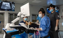 쓰리디메디비젼(M-FLIX™ 1010) - 기업정보 | 투자, 매출, 기업가치 - THE VC