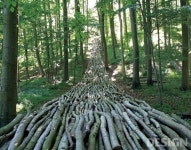 월간 디자인 : 청송포레스트아트 2017 | 매거진 | DESIGN 청송포레스트아트 2017