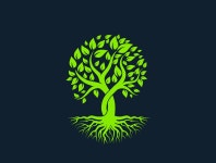 Tree by Abdul Hamid on Dribbble Tree