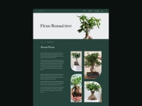 Marina Jezidžić | Dribbble Marina Jezidžić
