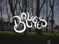 Bruges by Sam Bunny on Dribbble Bruges