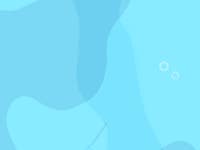       Browse by color | Dribbble  