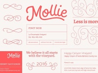 Mollie Wine Branding by Claire Coullon on Dribbble Mollie Wine Branding