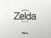 Zelda by Almaz Studio on Dribbble Zelda