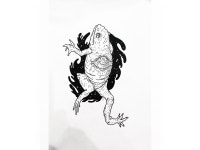 Frog by Erdem haksal on Dribbble Frog