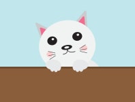 Meow by Kajol on Dribbble Meow