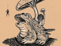 frog by Jule Sand on Dribbble frog