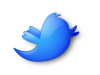Custom, High Gloss Twitter Icon by Justin Lowery on Dribbble Custom, High Gloss Twitter Icon