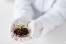 토양의 건전한 유지 위한 직업 토양환경기술자 및 연구원 < 직업탐색... 인터넷 교육신문 토양의 건전한 유지 위한 직업 토양환경기술자 및 연구원