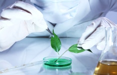 환경공학과 특기·적성 체크리스트로 보는 전공 적합성 < 학과정보... 에듀진 인터넷 교육신문 환경공학과 특기·적성 체크리스트로 보는 전공 적합성