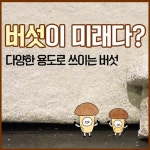 버섯이 미래다? < 제조 < 산업/ESG < 기사본문 - 인터넷조은뉴스 버섯이 미래다?
