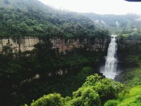 waterfall, tree, water, nature, scenics, beauty in | EyeEm