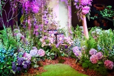 안나수이 가을 메이크업 컬렉션 런칭