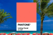팬톤이 선정한 2019 올해의 컬러 ‘리빙 코럴’