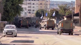 NY: Doberman Pinscher Penny Wins Best In Show At 150th Annual Westminster Kennel Club Dog Show | Flipboard