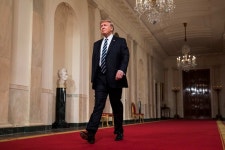 INDIGENOUS | @LLB88 | Flipboard