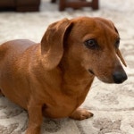 10 Recent Trends Suggest We’re Headed For Another Roaring 20s - Flipboard