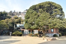 [가든 포트폴리오] 목포 이훈동 정원 < 정원작품 포트폴리오 < 함께가드닝 < 기사본문 - 월간가드닝 [가든 포트폴리오] 목포 이훈동 정원