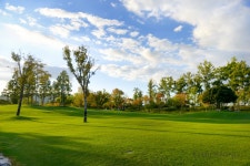 순천만국가정원 동천변 저류지 생태관광 명소로 만든다 < 공공 정원·수목원 < 정원문화신문 < 기사본문 - 월간가드닝 순천만국가정원 동천변... 