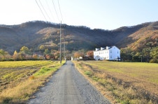 [12월호 개인정원] 공존과 균형의 정원 < 정원작품 포트폴리오 < 함께가드닝 < 기사본문 - 월간가드닝 [12월호 개인정원] 공존과 균형의 정원