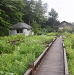 [SPECIAL - PART1] 오롯이 우리식물로만 일궈온 수목원, 국립한국자생식물원 < 트렌드 < 함께가드닝 < 기사본문 - 월간가드닝 [SPECIAL - PART1]... 