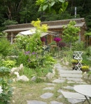 [개인정원] “어떻게 정원을 안 좋아할 수가 있죠?” < 함께가드닝 < 기사본문 - 월간가드닝 [개인정원] “어떻게 정원을 안 좋아할 수가 있죠?”