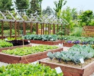 [Education③] 지구의 건강과 내 건강을 챙기는 텃밭정원 < 교육·자격증 < 함께가드닝 < 기사본문 - 월간가드닝 [Education③] 지구의 건강과... 